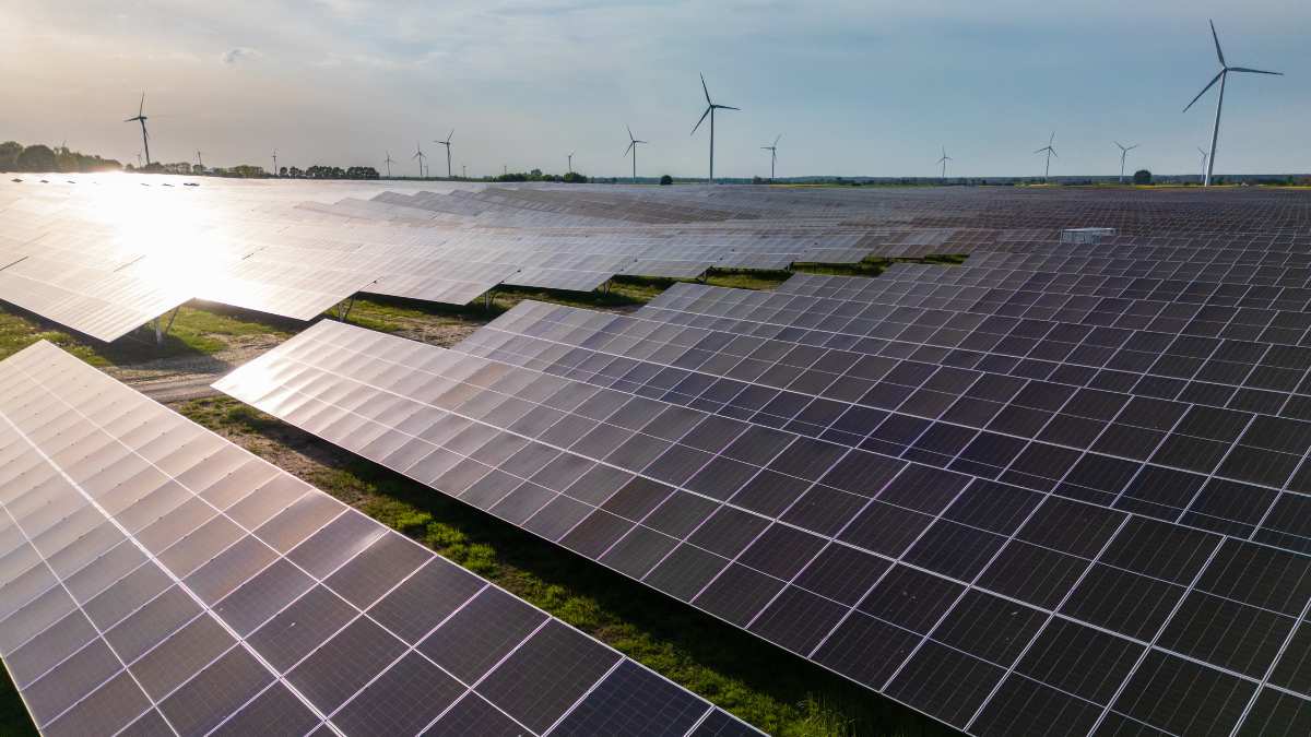 Panele fotowoltaiczne, Carrefour