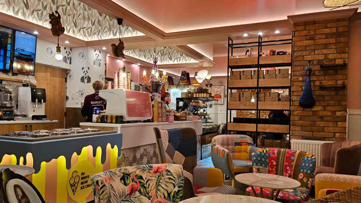 The White Bear Coffee, Nysa