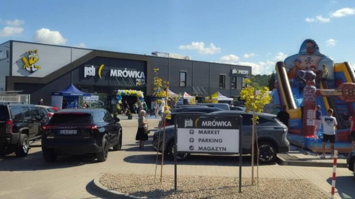 Mrówka w Lwówku Śląskim